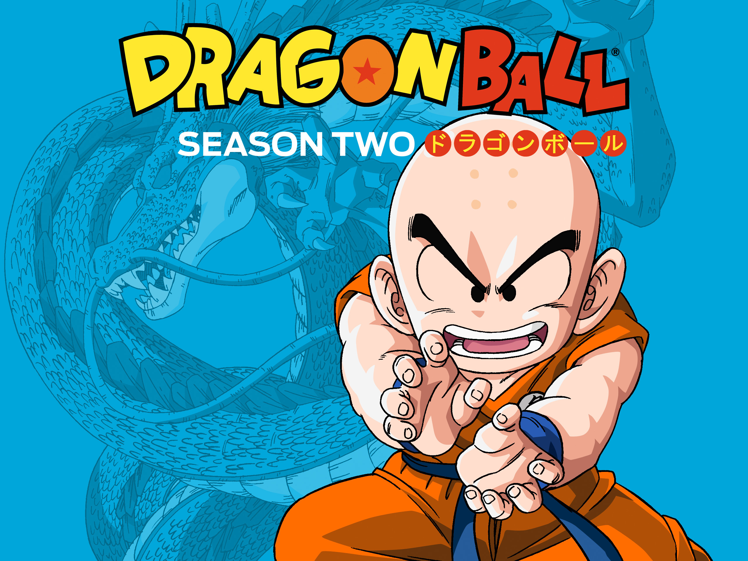 CRITIQUE D’ANIME – DRAGON BALL SAISON 2: ARC DU TENKAICHI BUDOKAI
