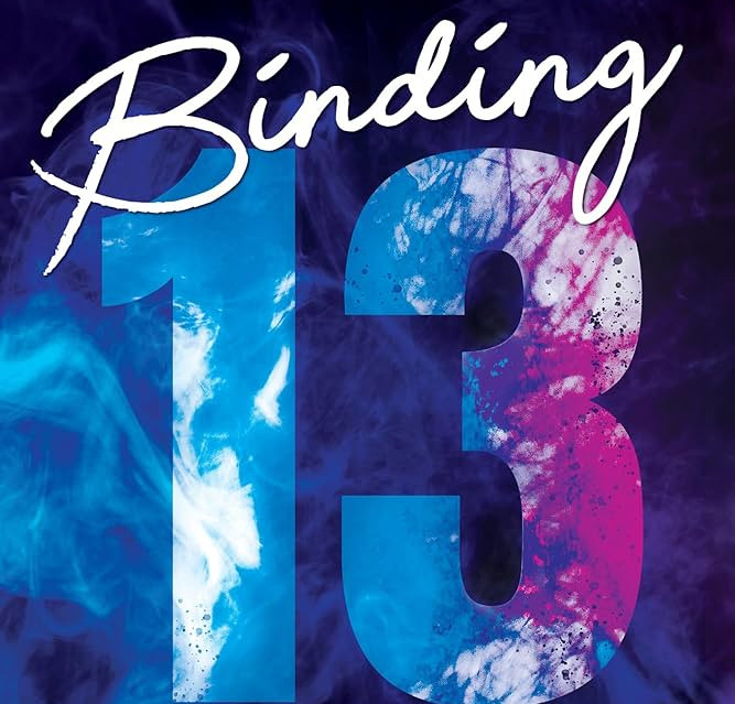 CRITIQUE DE ROMAN – BINDING&nbsp;13