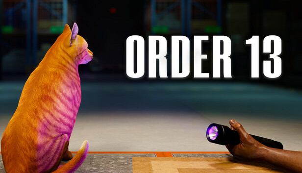 CRITIQUE DE JEU VIDÉO – ORDER&nbsp;13