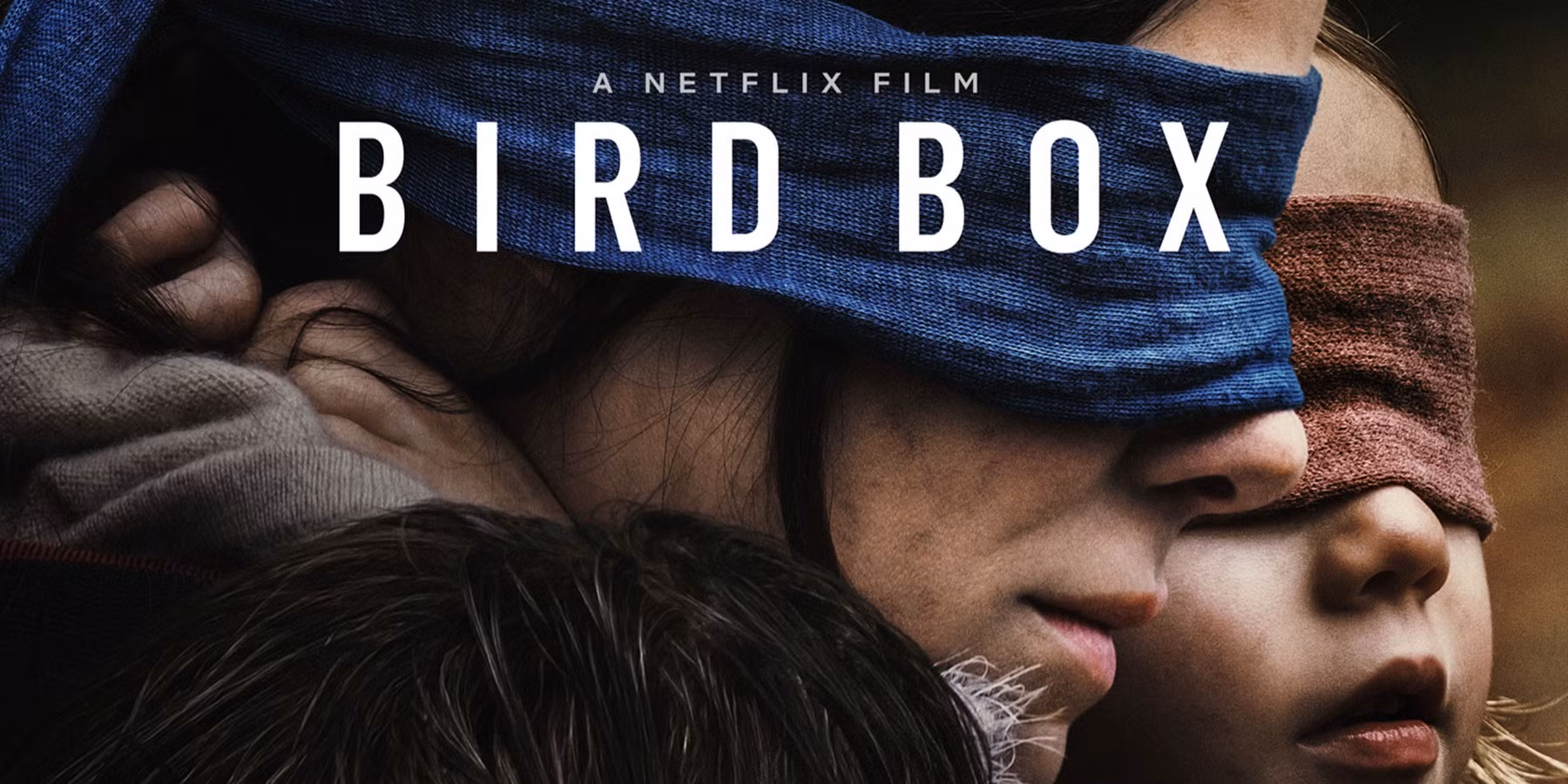 CRITIQUE DE FILM – BIRD BOX